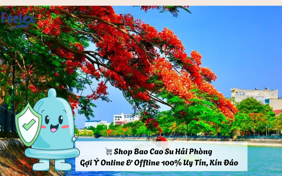 shop bao cao su Hai Phong