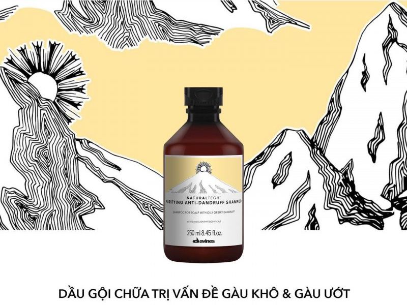 Top 9 Dầu Gội Trị Gàu Nam Hiệu Quả Nhất 2025: Tạm Biệt Gàu Ngứa! dầu gội trị gàu cho nam giới