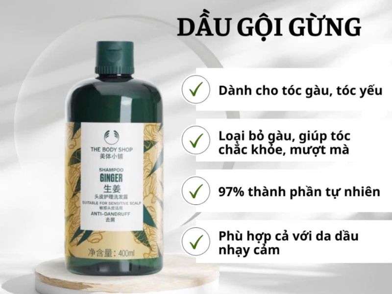 Dầu Gội Việt Nam: Gợi Ý 6 Thương Hiệu Nội Địa Được Ưa Chuộng Hiện Nay Dầu gội Việt Nam đều có giá thành khá rẻ nhưng hiệu quả lại cao