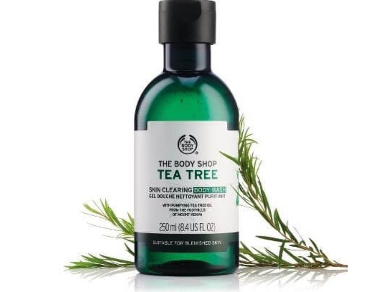 Sữa tắm trị mồ hôi dầu cho nam: Sạch sâu – Thơm lâu cả ngày The Body Shop Tea Tree Body Wash