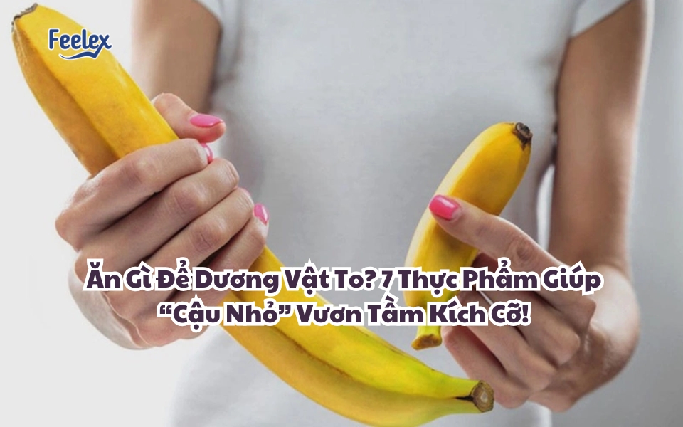 an-gi-de-duong-vat-to