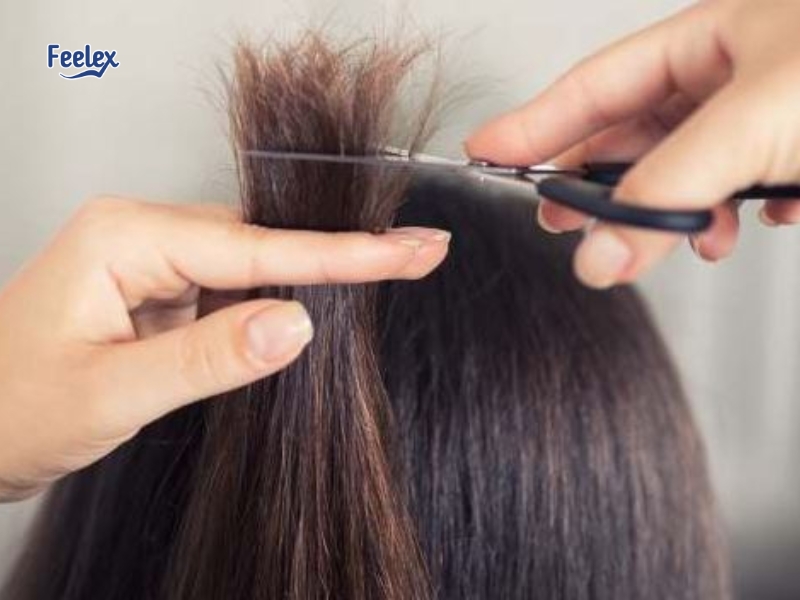 7 Điều Cần Biết Về Tóc Chẻ Ngọn: Nguyên Nhân, Cách Khắc Phục & Phòng Ngừa cach-tia-toc-che-ngon-dung-cach