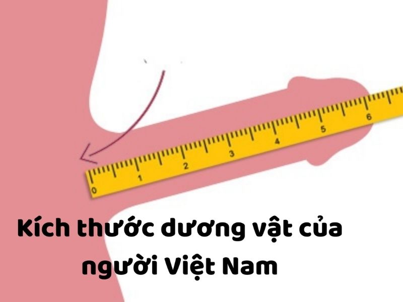 TOP 5 cách tăng kích thước dương vật hack phong độ đỉnh cao! 85% phụ nữ hài lòng với kích thước trung bình!