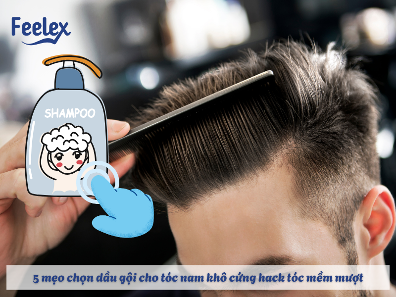Dầu gội cho tóc nam khô cứng