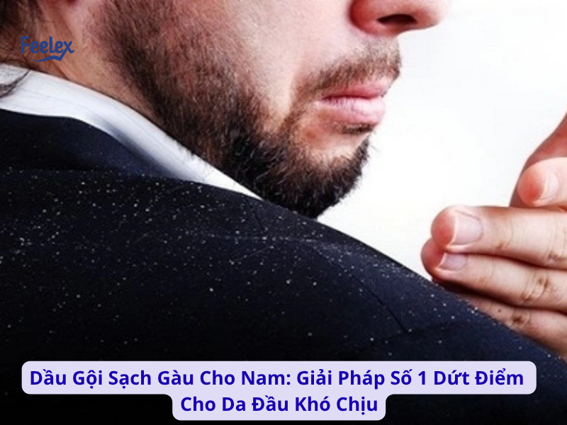 dau goi sach gau cho nam