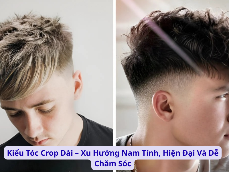kieu toc crop dai