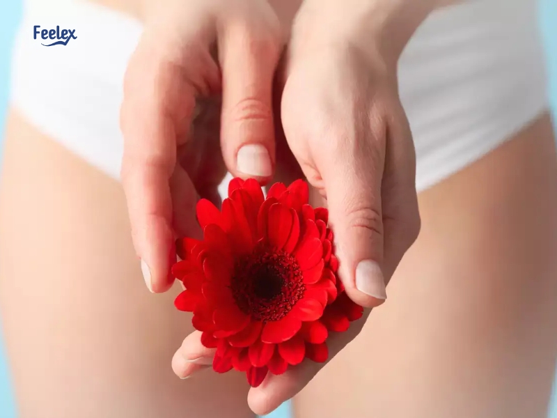 5 Tiêu Chí Chọn Nước Hoa Vùng Kín Nữ Tốt Nhất – Gợi Ý Sản Phẩm Đáng Mua Năm 2025! 5 Tiêu Chí Giúp Bạn Chọn Nước Hoa Vùng Kín Nữ Tốt Nhất