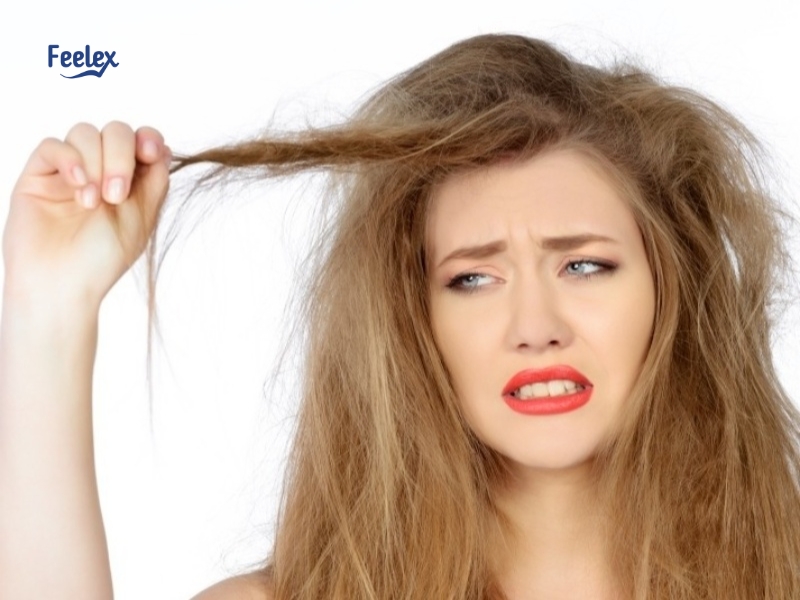 7 Điều Cần Biết Về Tóc Chẻ Ngọn: Nguyên Nhân, Cách Khắc Phục & Phòng Ngừa toc-che-ngon-la-gi