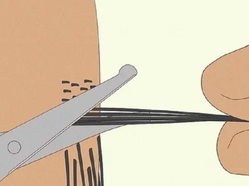 Tỉa Lông Vùng Kín Nam Bằng Kéo: Cẩn Thận – Gọn Gàng – Nam Tính! Cách tỉa lông vùng kín nam bằng kéo