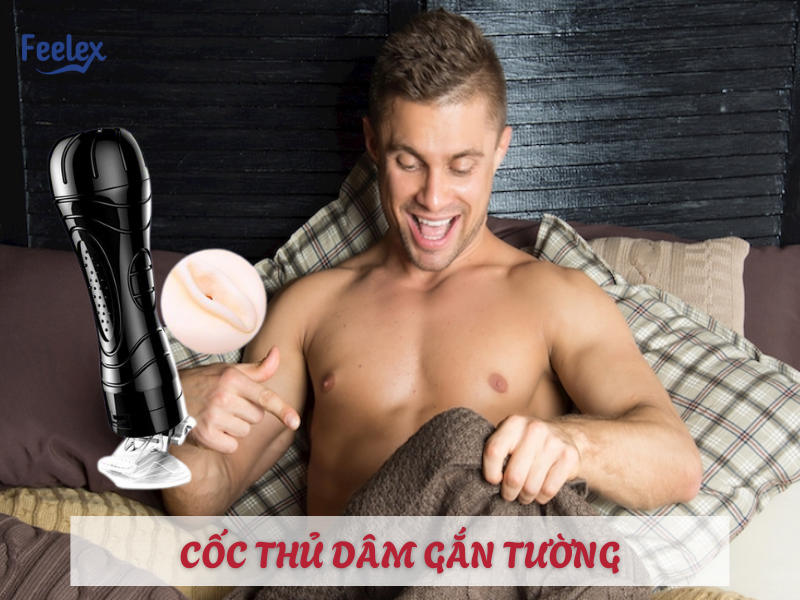 Cốc thủ dâm gắn tường