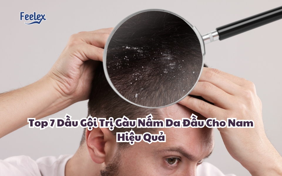 dau-goi-tri-gau-nam-da-dau