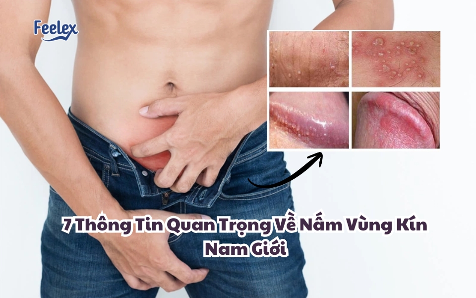 nam-vung-kin-nam-gioi
