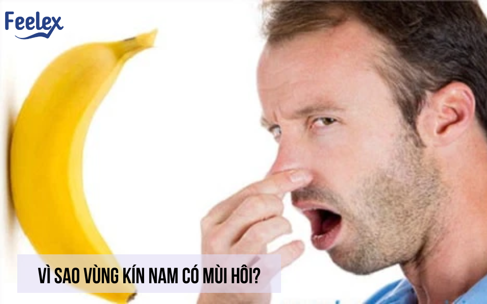 vì sao vùng kín nam có mùi hôi