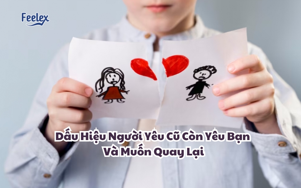 Dấu Hiệu Người Yêu Cũ Còn Yêu Bạn Và Muốn Quay Lại